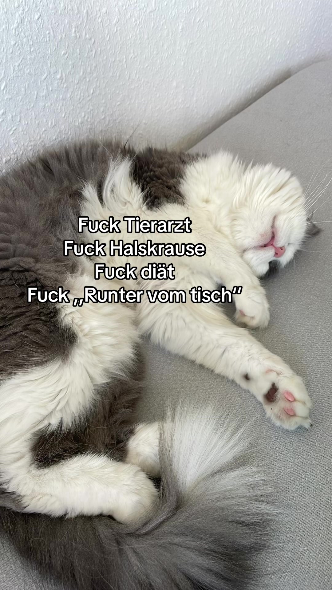 @Niklas