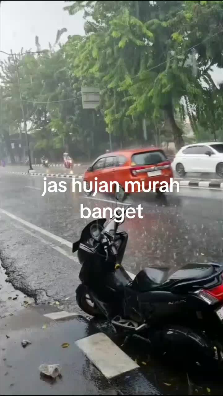 @boboho