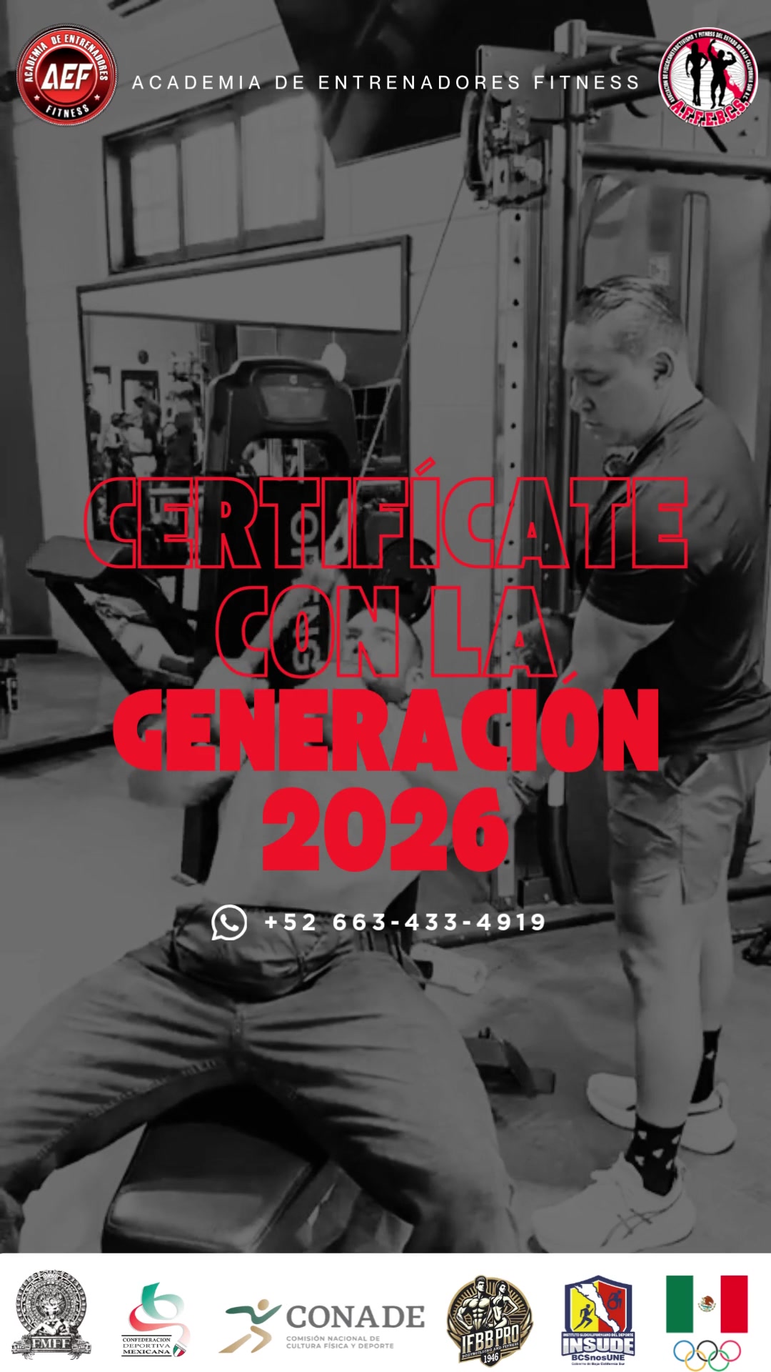 @aef_internacional