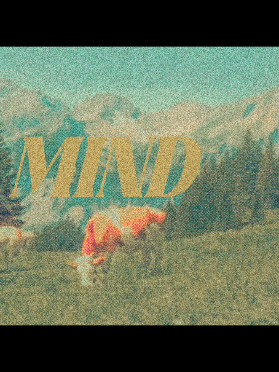 @𝐌&Delta;𝐆𝐈𝐂