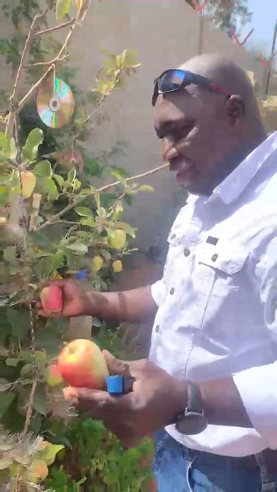 @Janda Farms 🇬🇲
