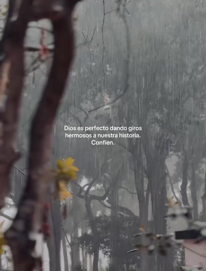 @Hija del Dueño