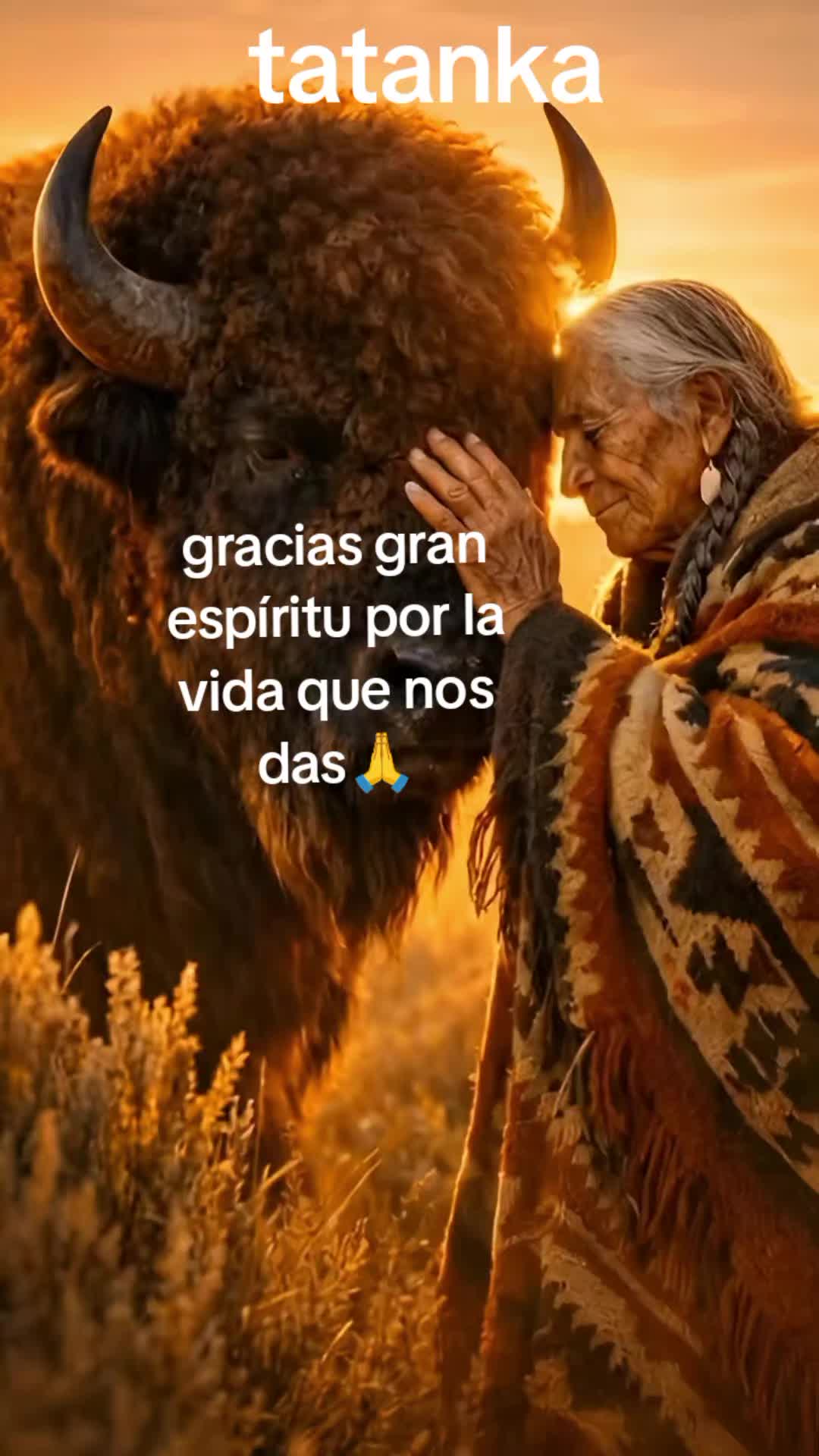 @tatanka white