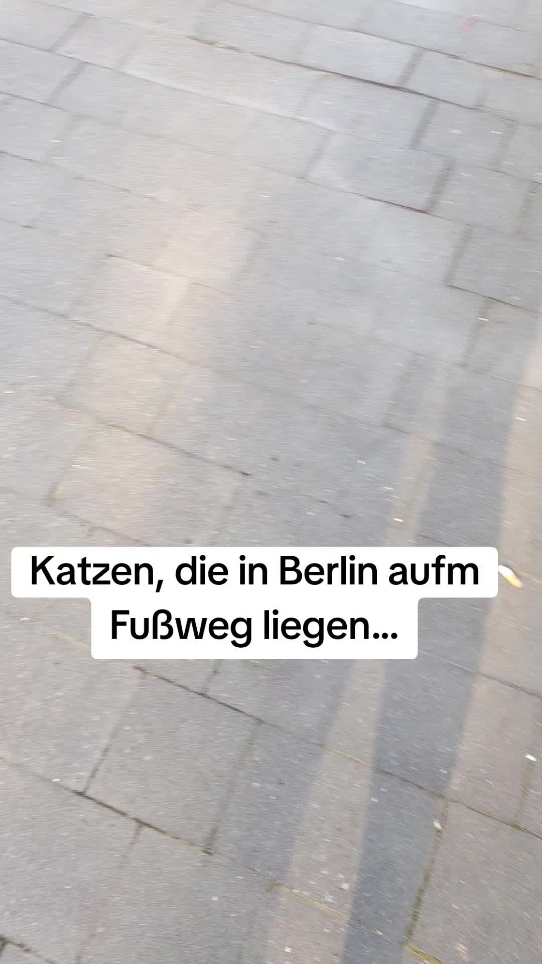 @Neu aufm Markt