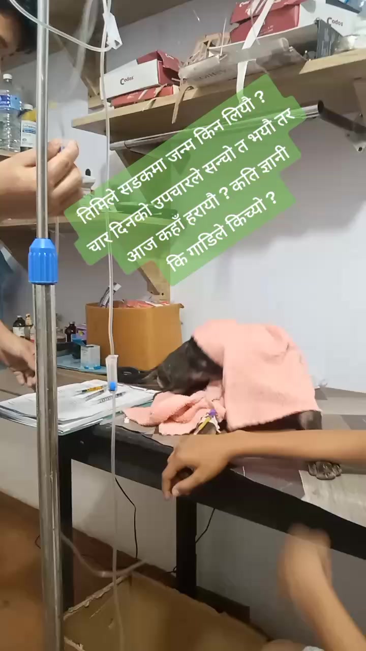 @AshishSuryabanshi123