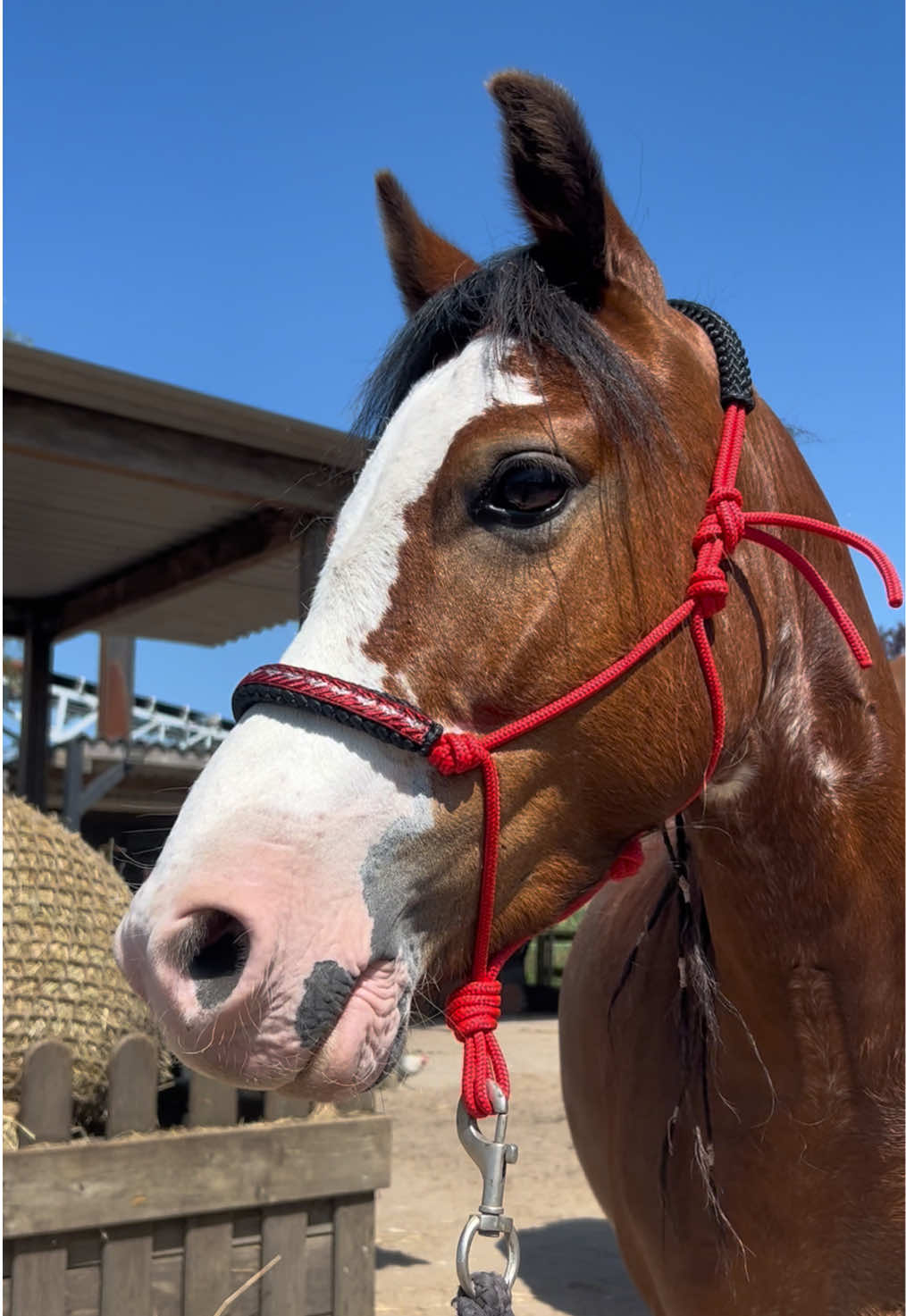 @horsecharms.com