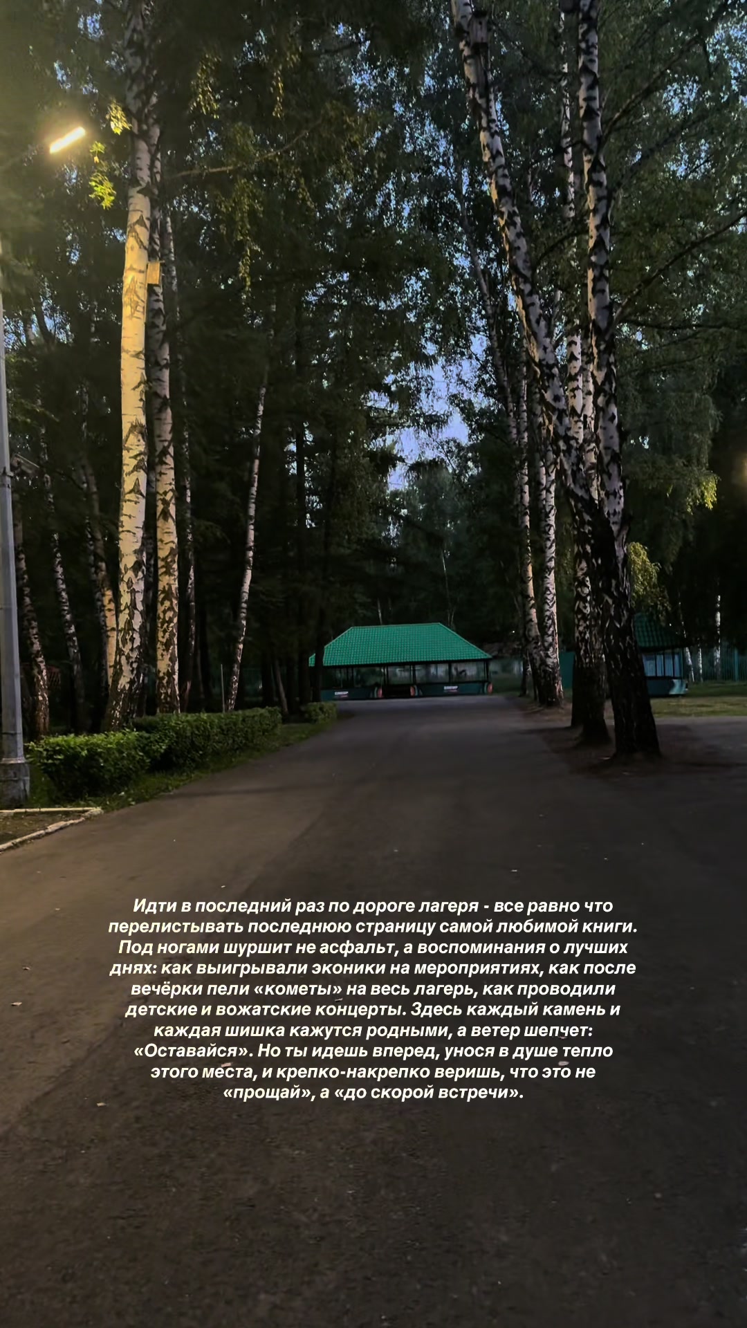 @энжешка🧚🏻♀️🤍