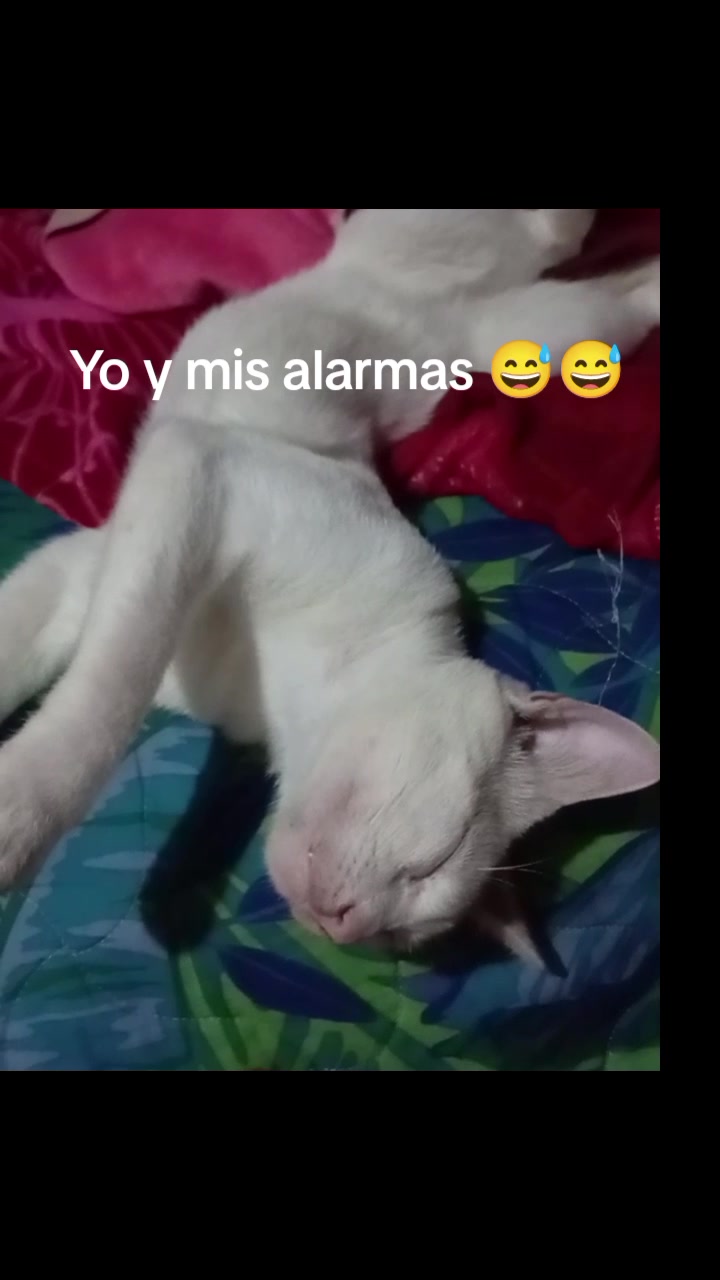 @Jose Franco
