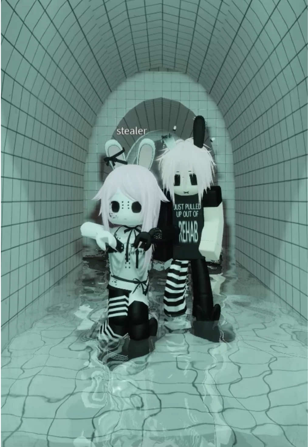 @/ᐠ - ˕ -マ Ⳋ