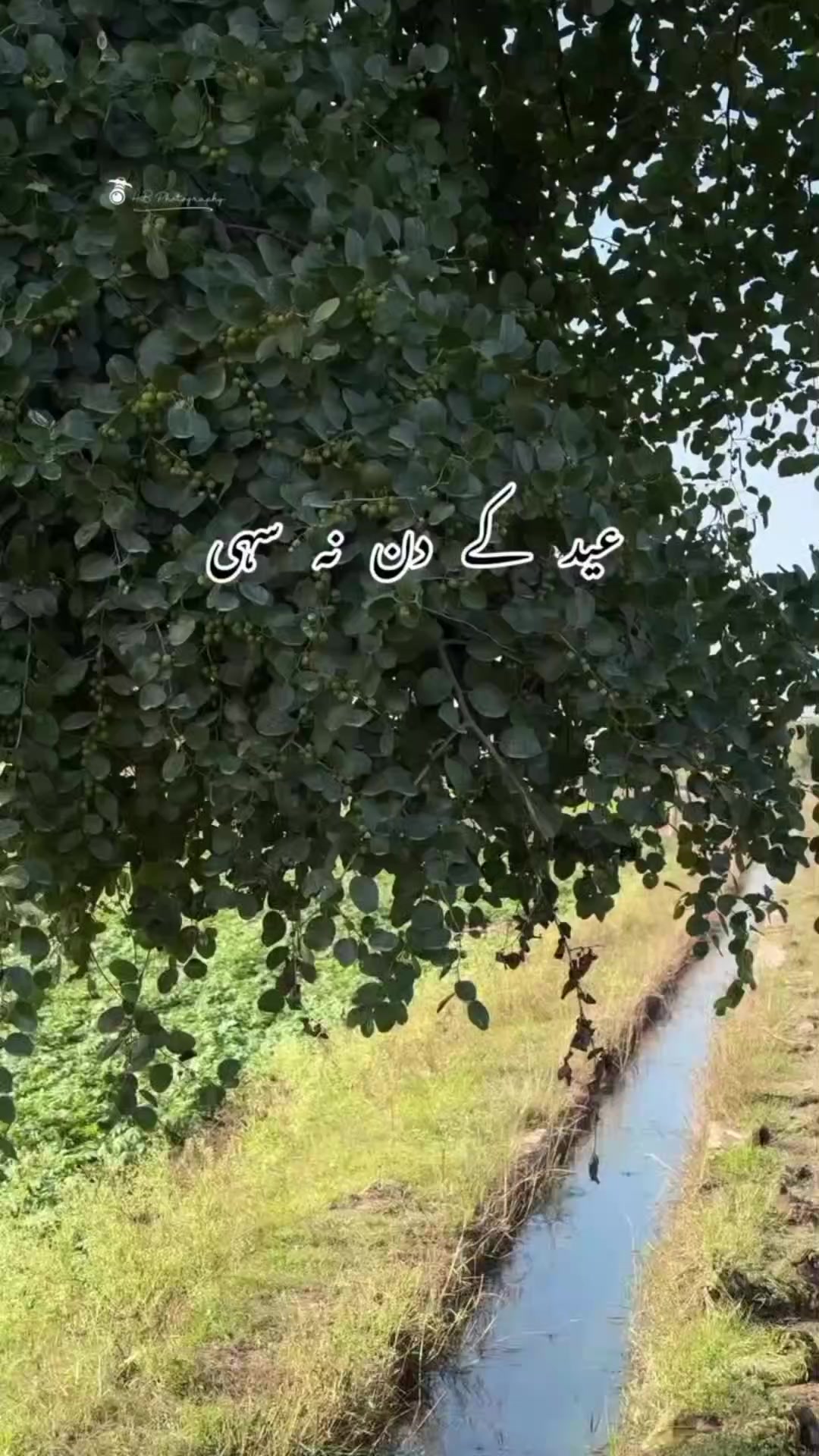 @gujrati munda🥰🥰