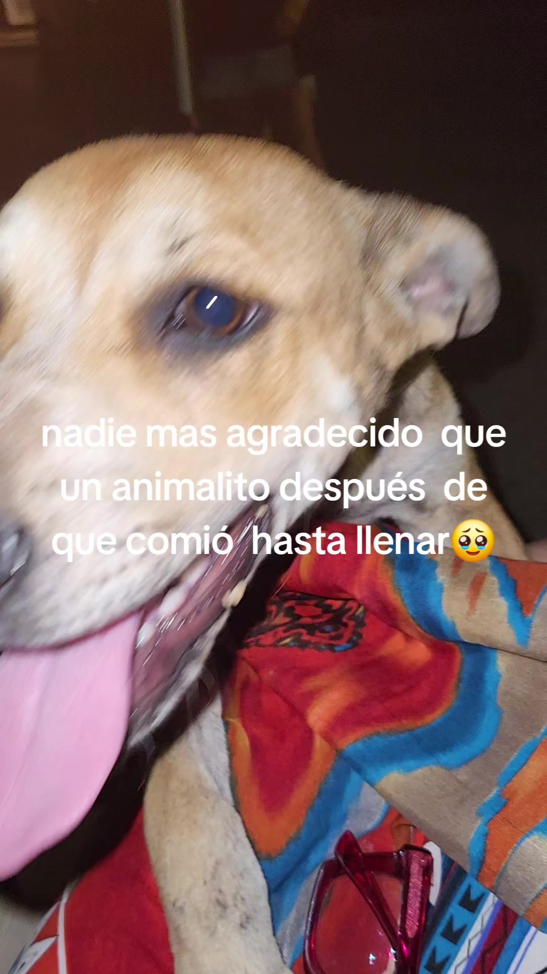 @Alma González
