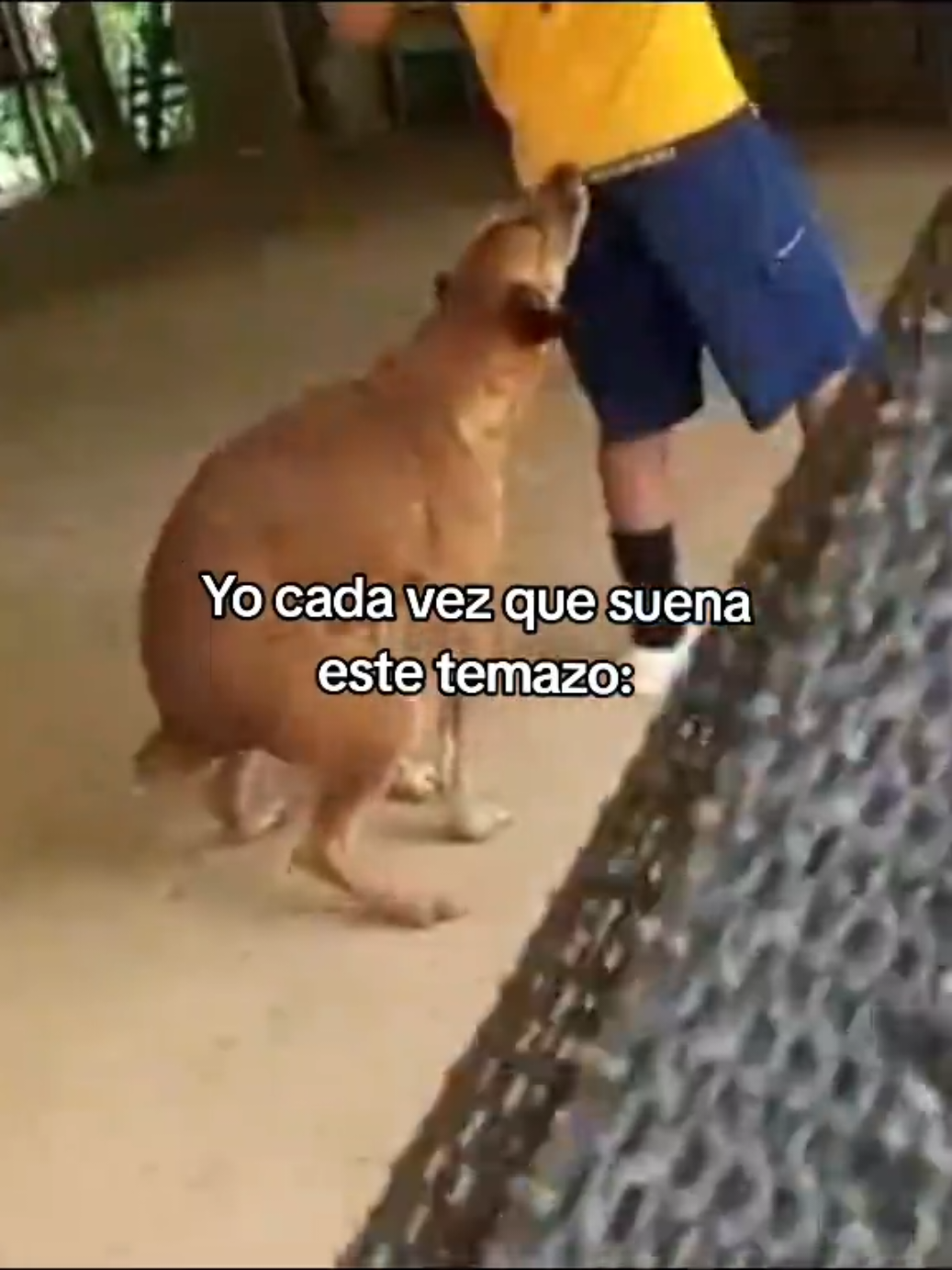 @Shxlom_17⛎