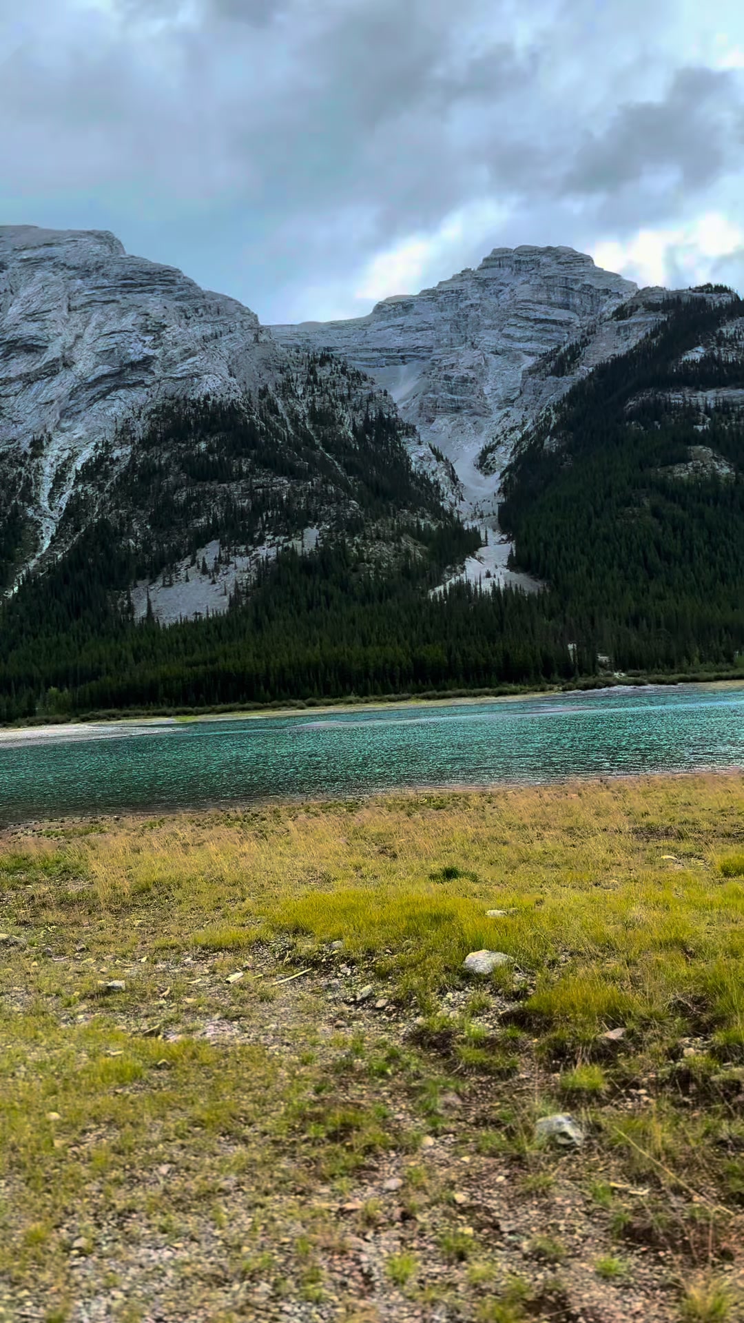 @M&Sigma;&Sigma;ƬЩ&Lambda;GӨП 🇨🇦🐶🎚️🐾