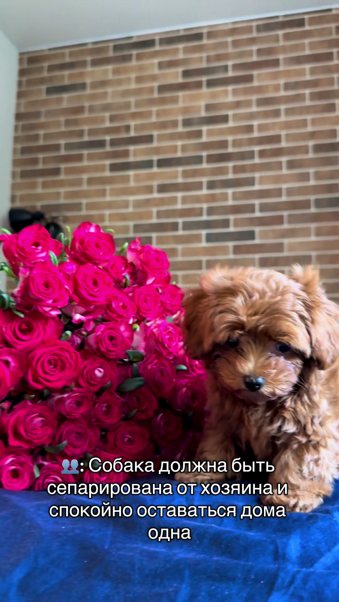 @Настюшка🎀