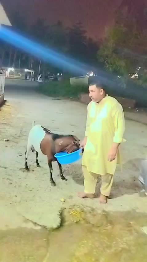 @Faysal Mubin