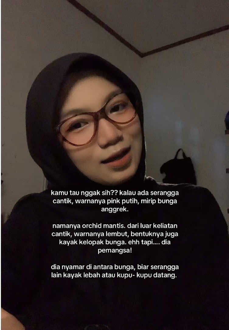 @inimellow || funfacts