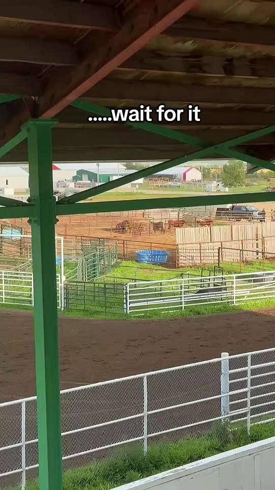 @EquestrianWeirdo