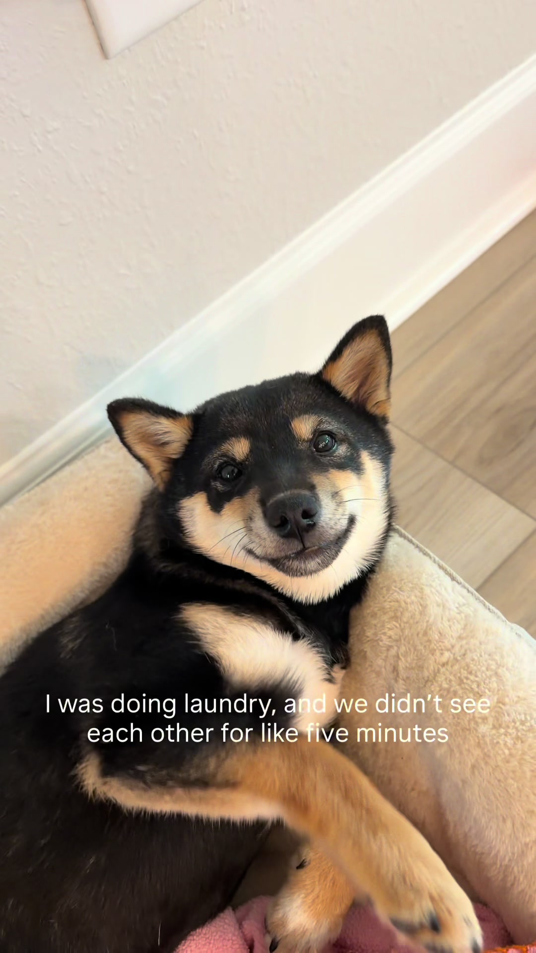 @Jessy & Lexi 🐾