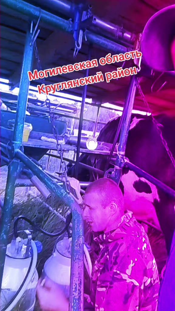 @Dimasik