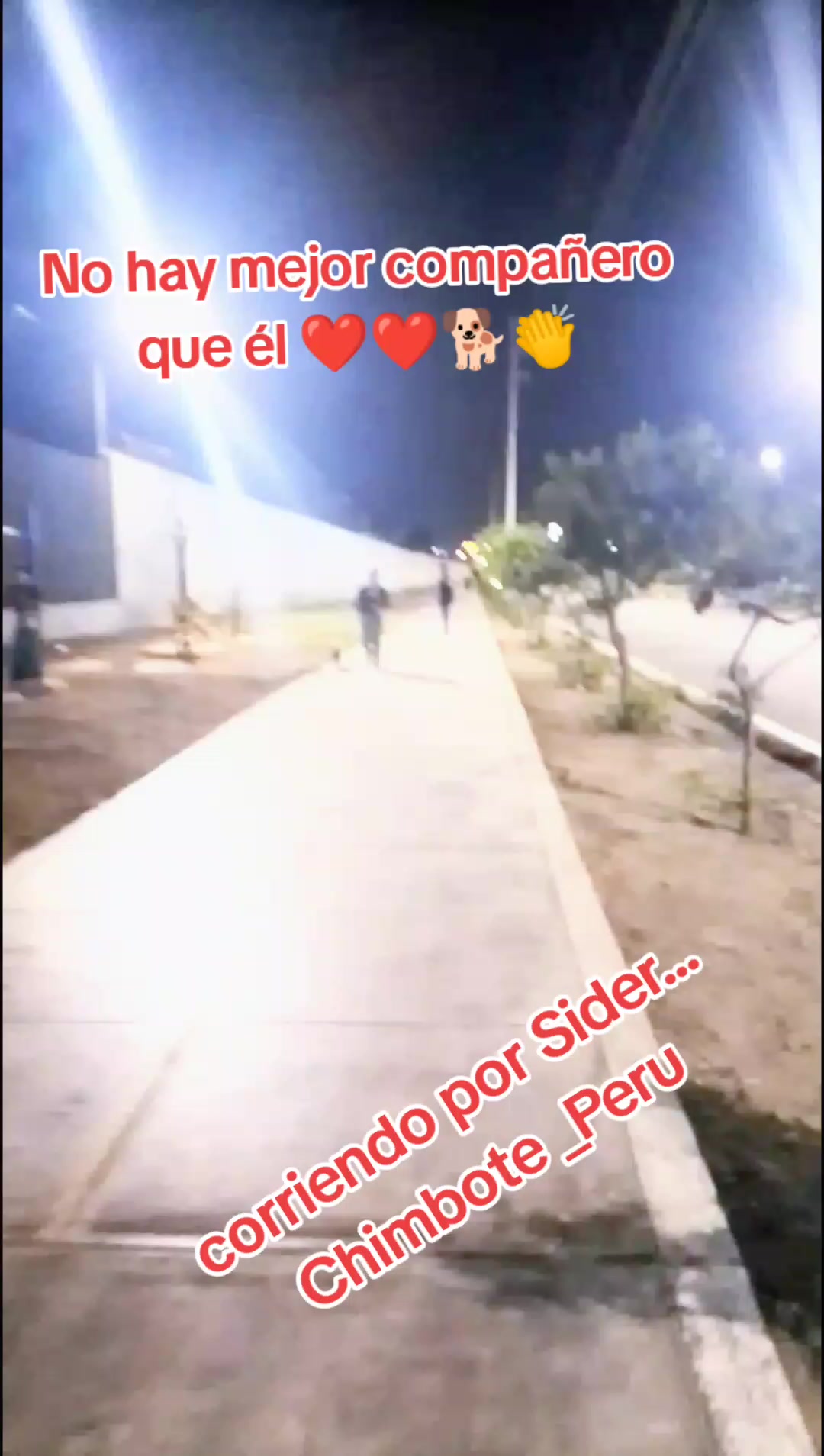 @🌷 Sarita y los callejeritos