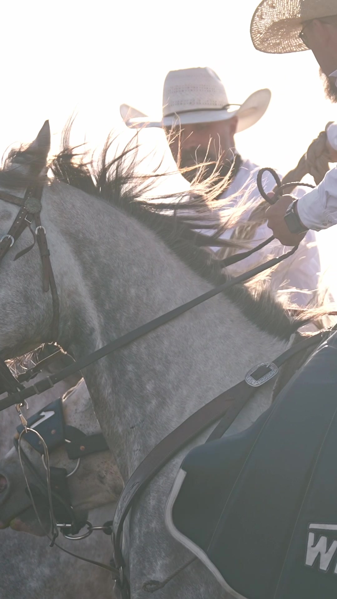 @Hanginghorses