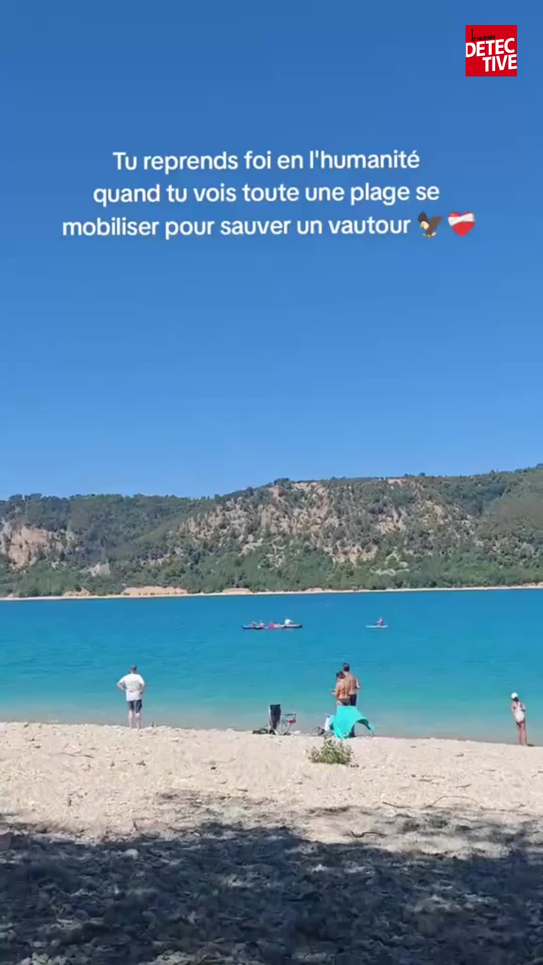 @lenouveaudetective