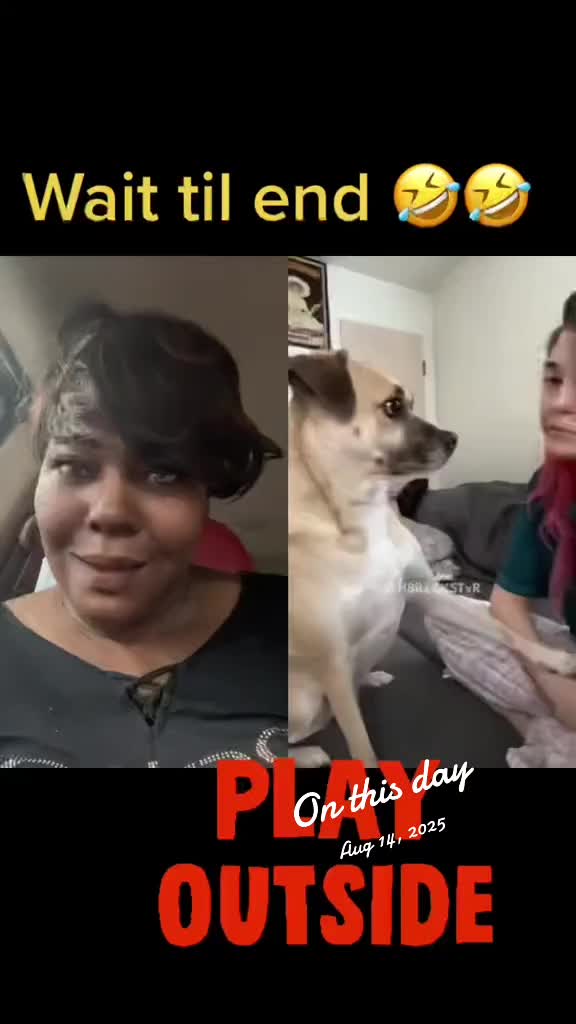 @lindamap424