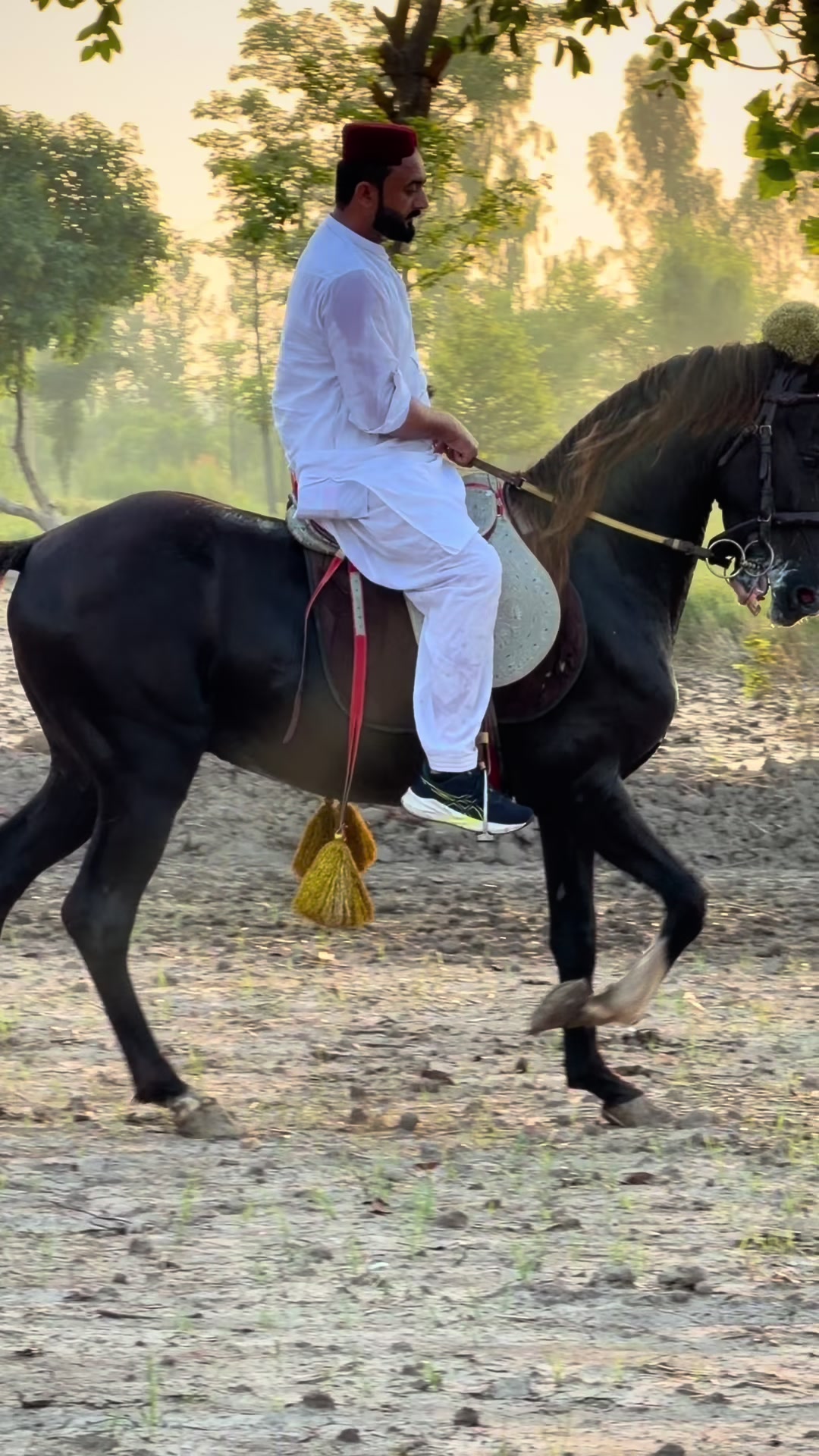 @Faisal Altaf Bosal