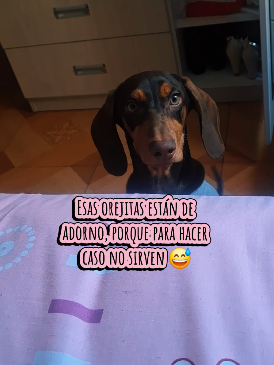 @❤ BREE ❤