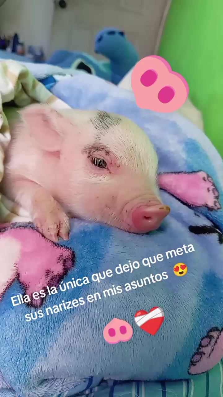@🖤 GRîS 🖤