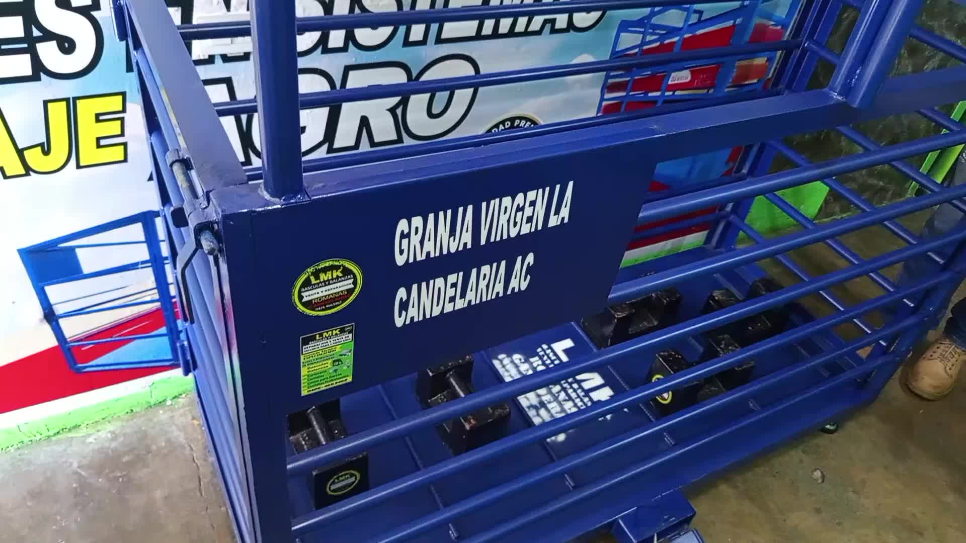 @LMK básculas y balanzas