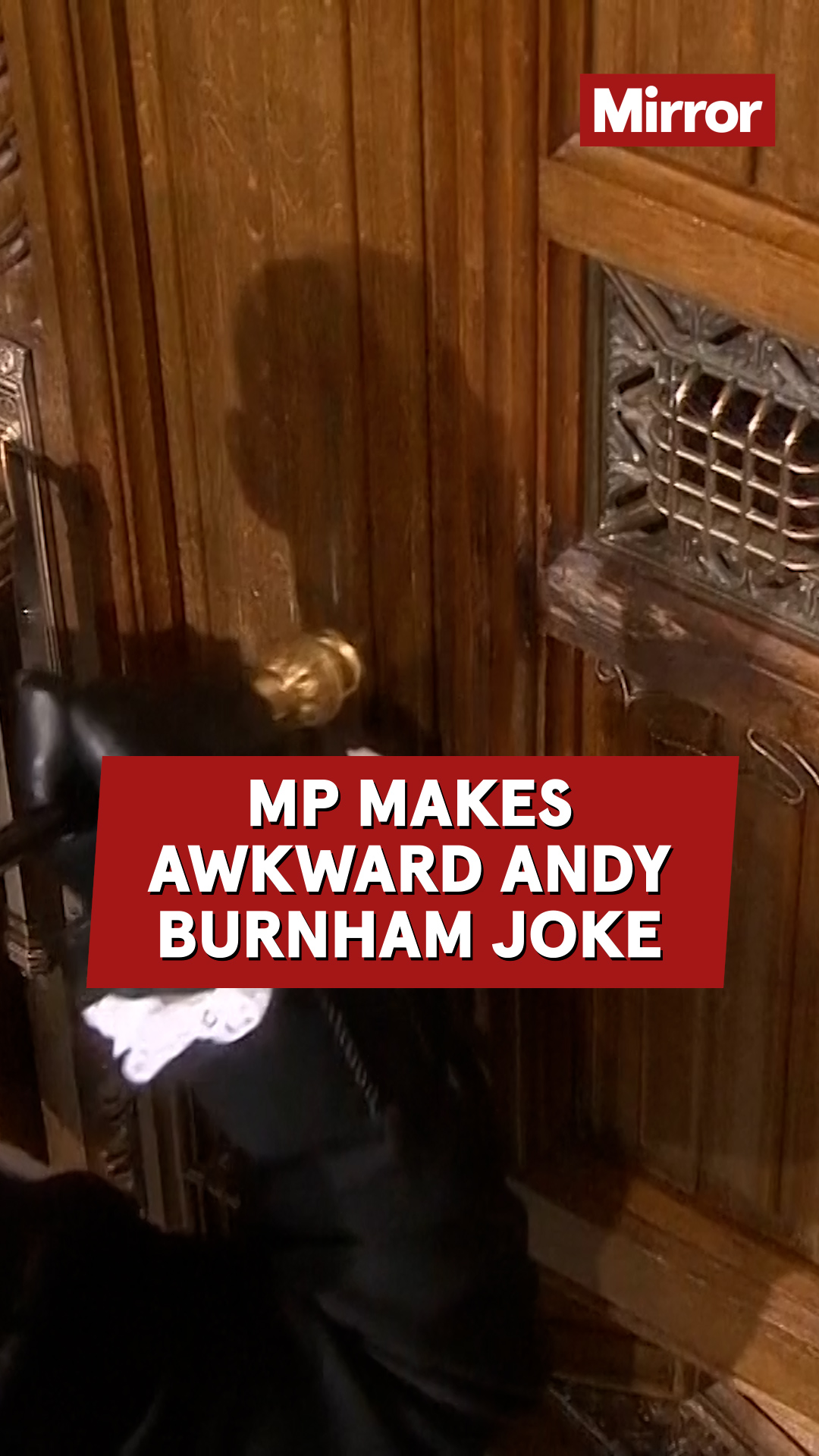 @Mirror Politics