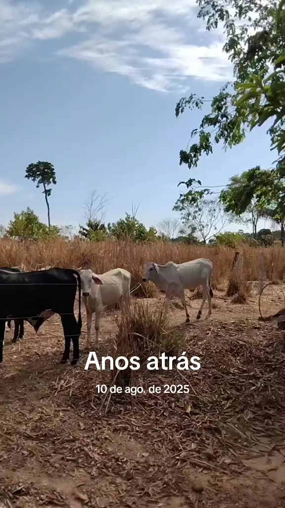 @elenir