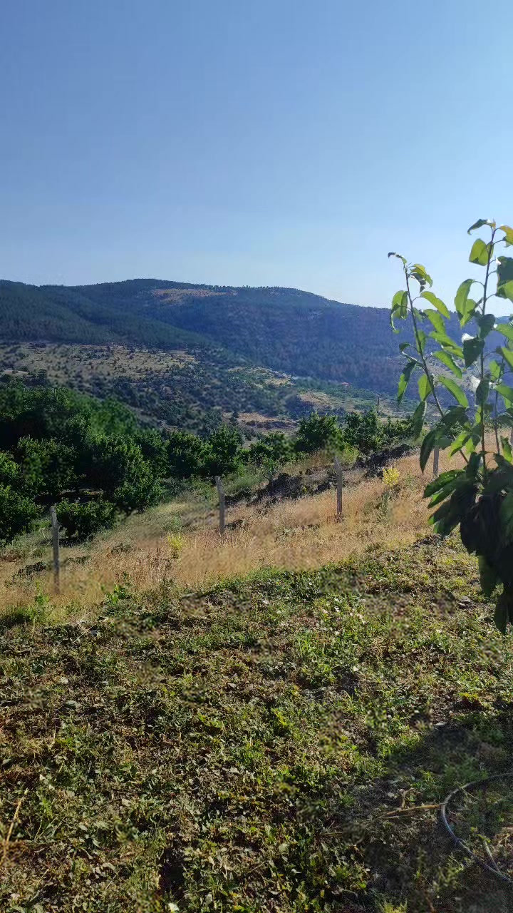 @çavuş rustem7027