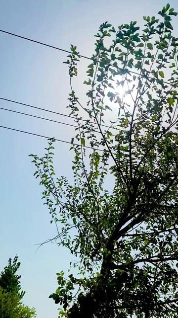 @😎❤️مانی سپراء 199❤️😎