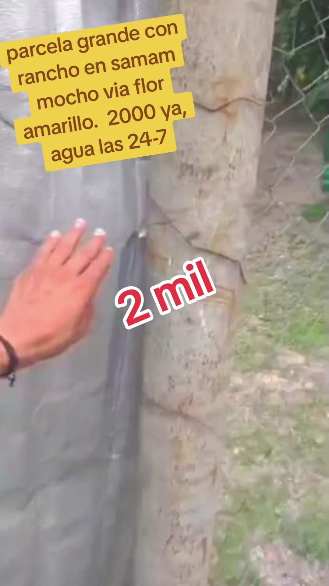 @Lis_venta