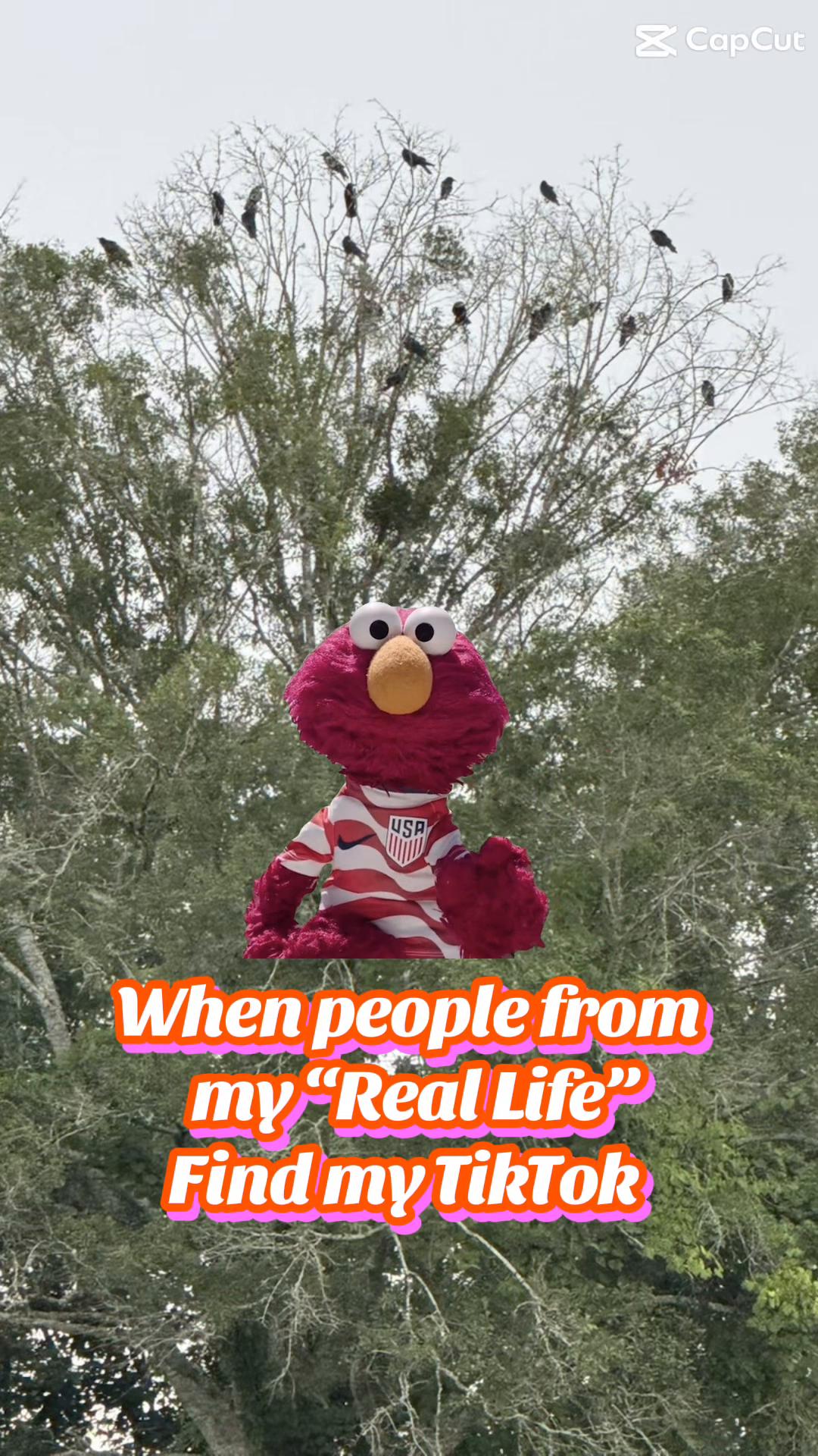 @Buffy_In_Louisiana