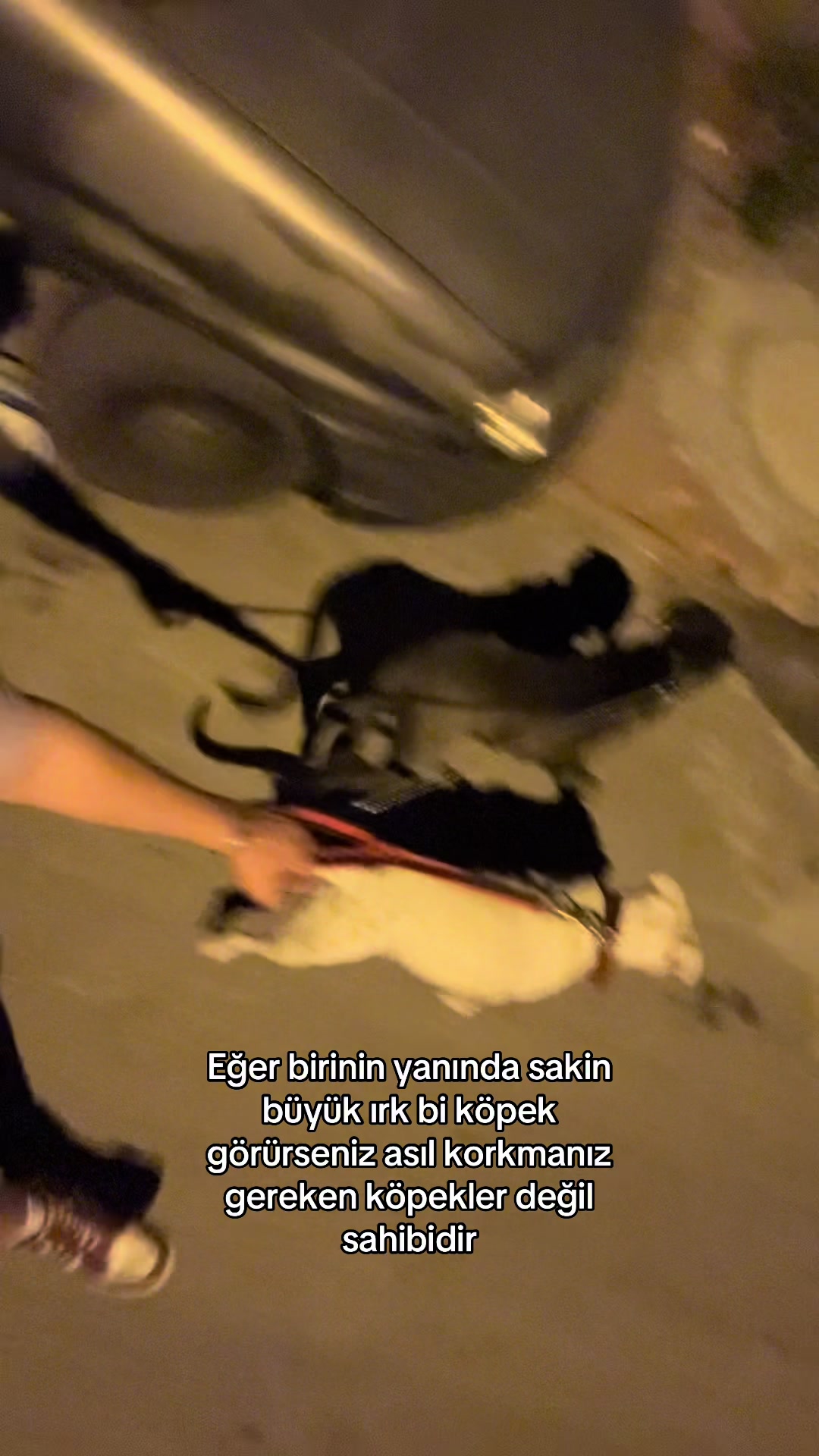 @MEERTCAAN