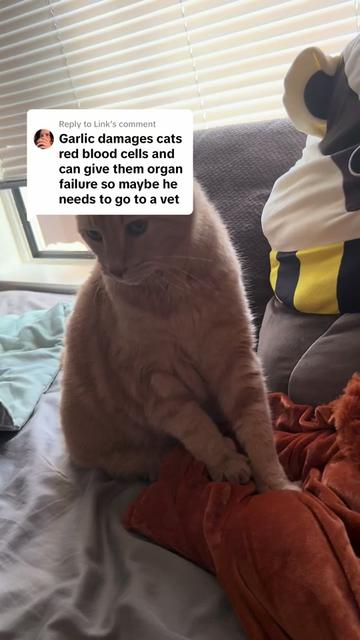 @GingersnapGingerAle
