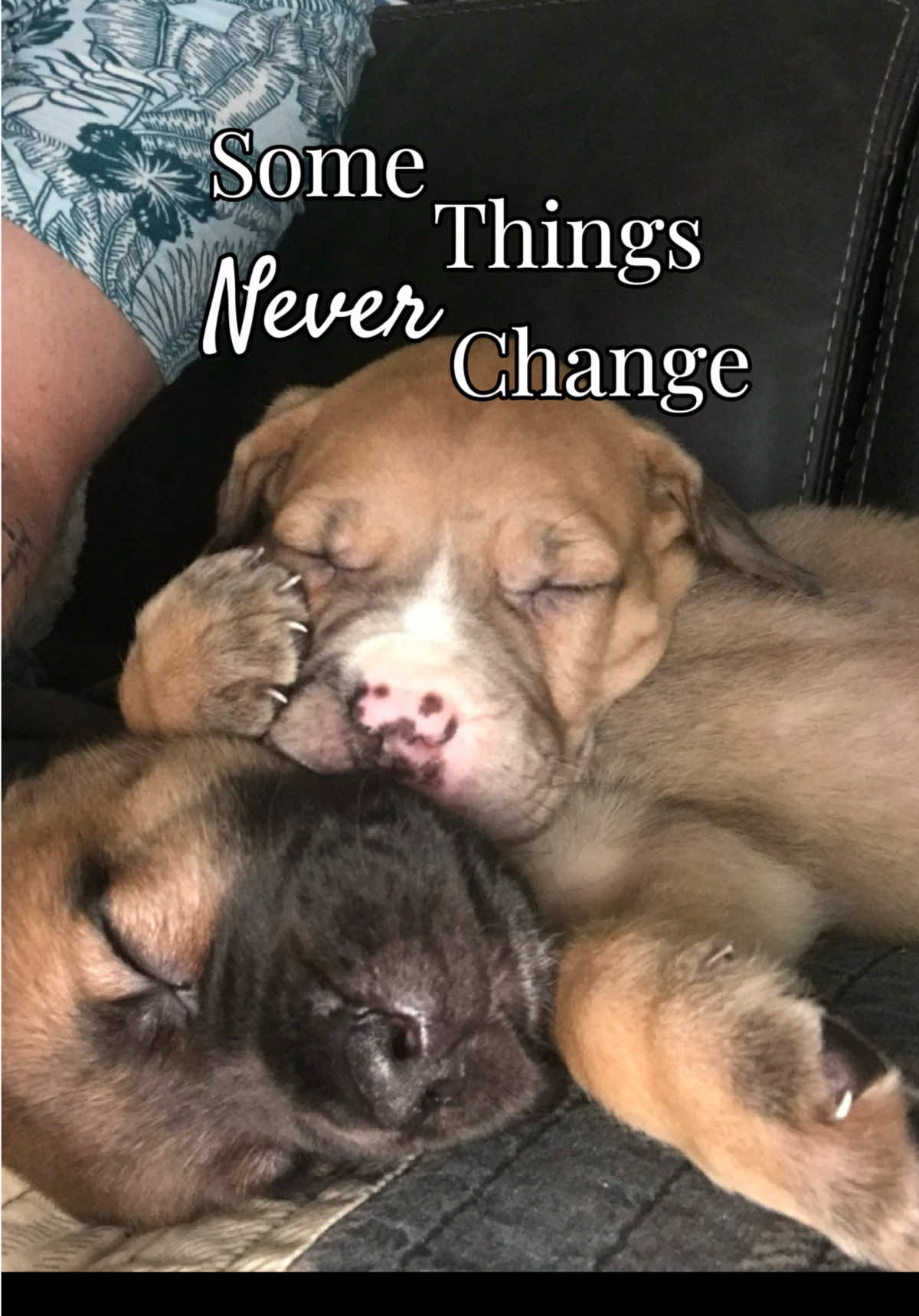 @Nala & Hurley