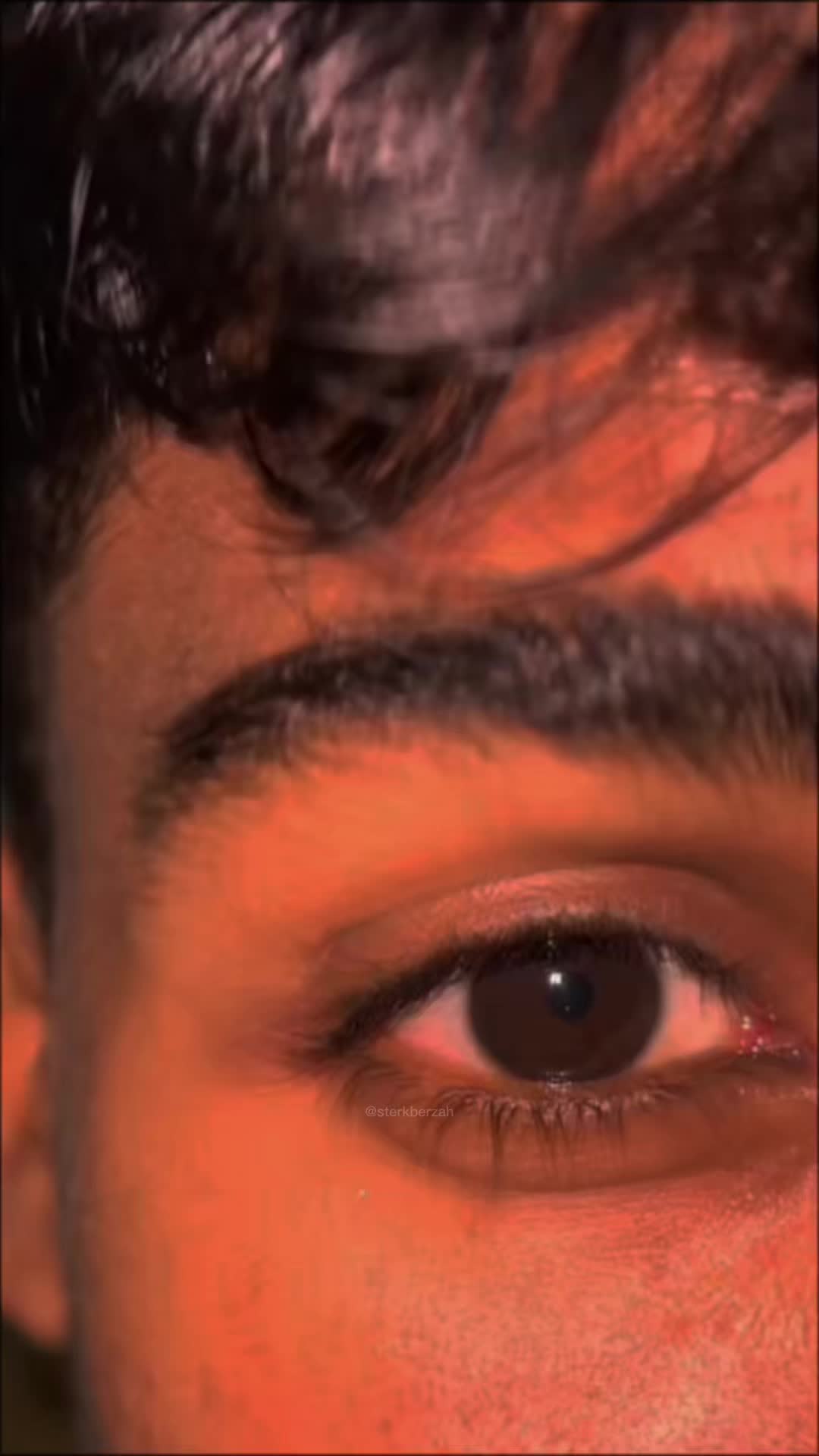 @N 🕸️