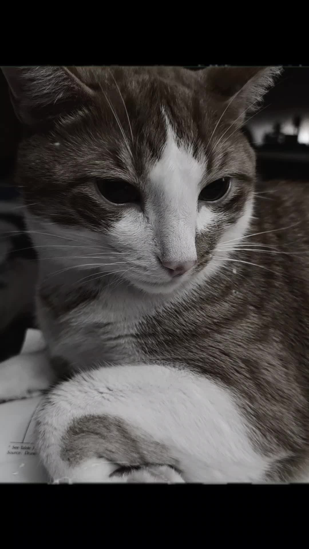 @SudzyDudz77♾️❤️🐱🌩💋