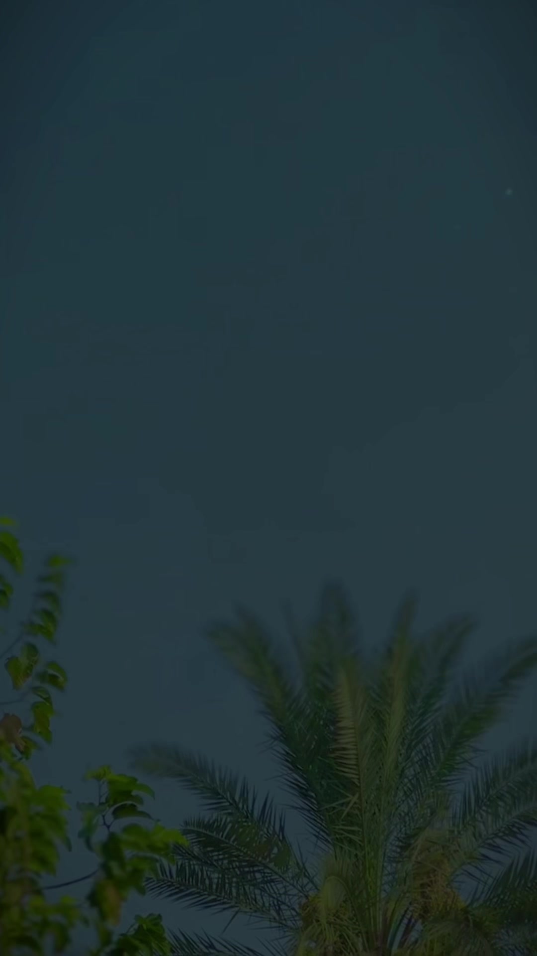 @⁶چوہدری◇ابوبکر╰❥