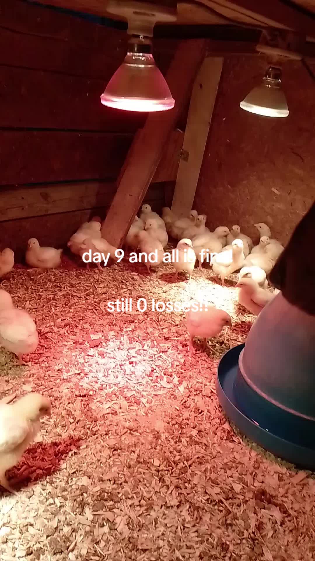@Freek🇨🇦🏳️🌈🌈
