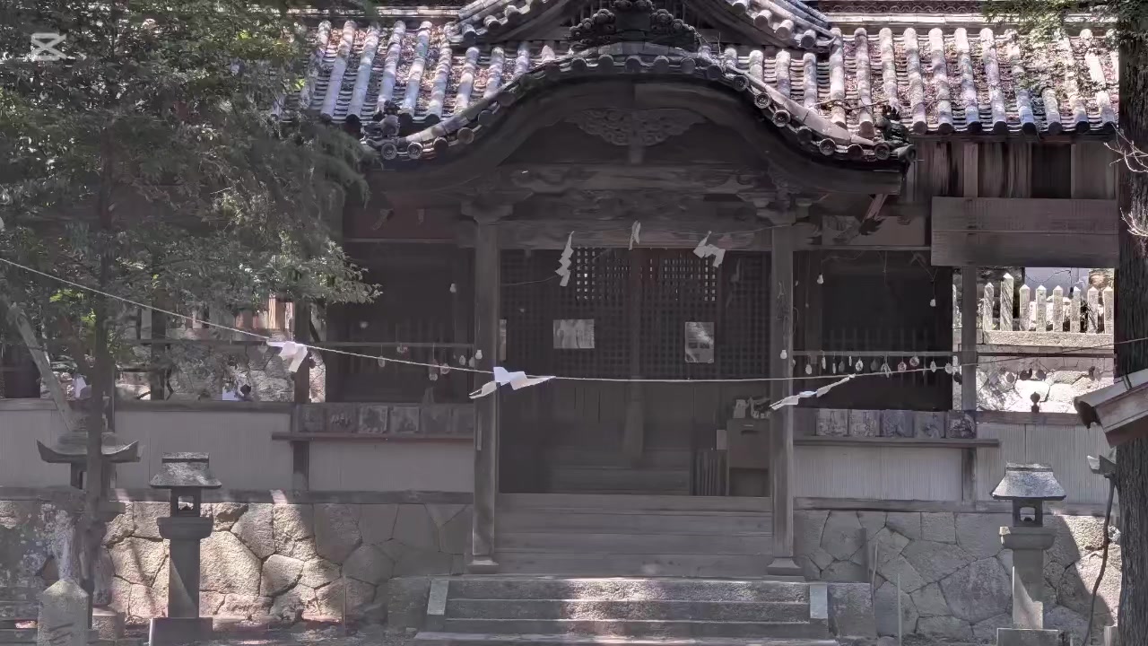 @自由人