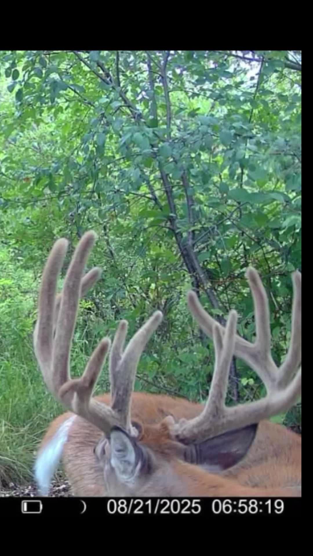 @Hammy Outdoors