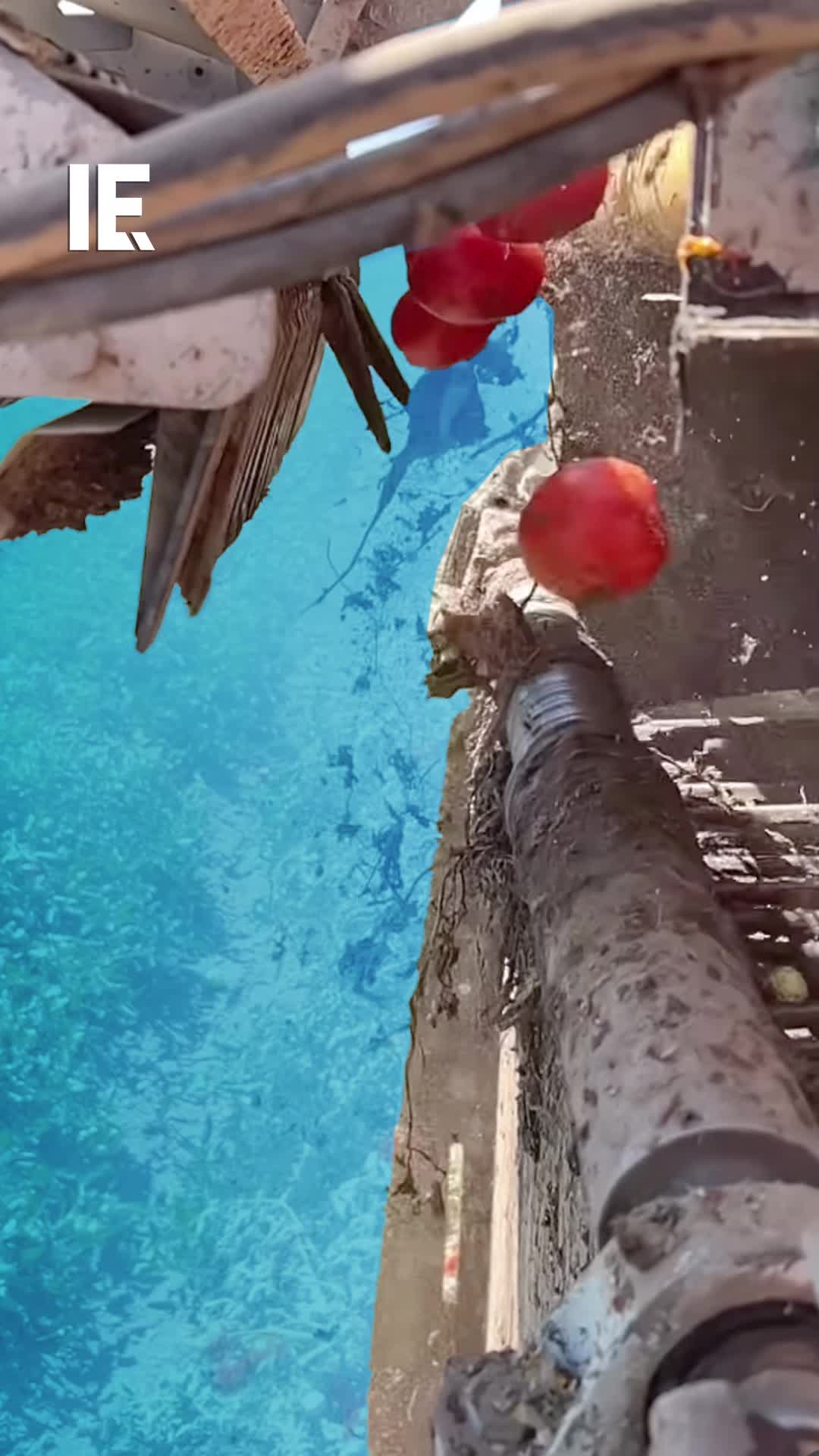 @interestingengineering
