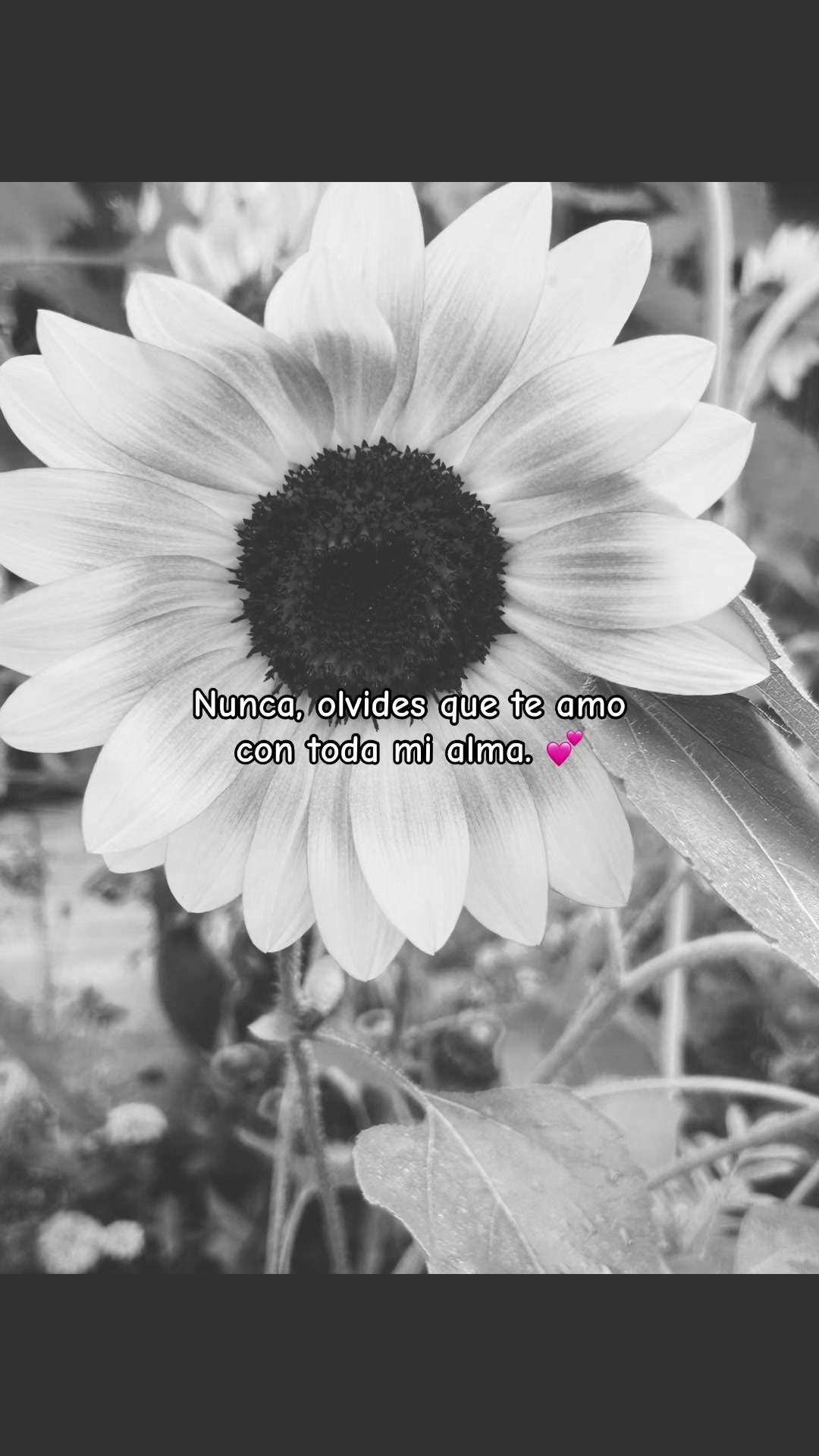 @♥️YJ♥️
