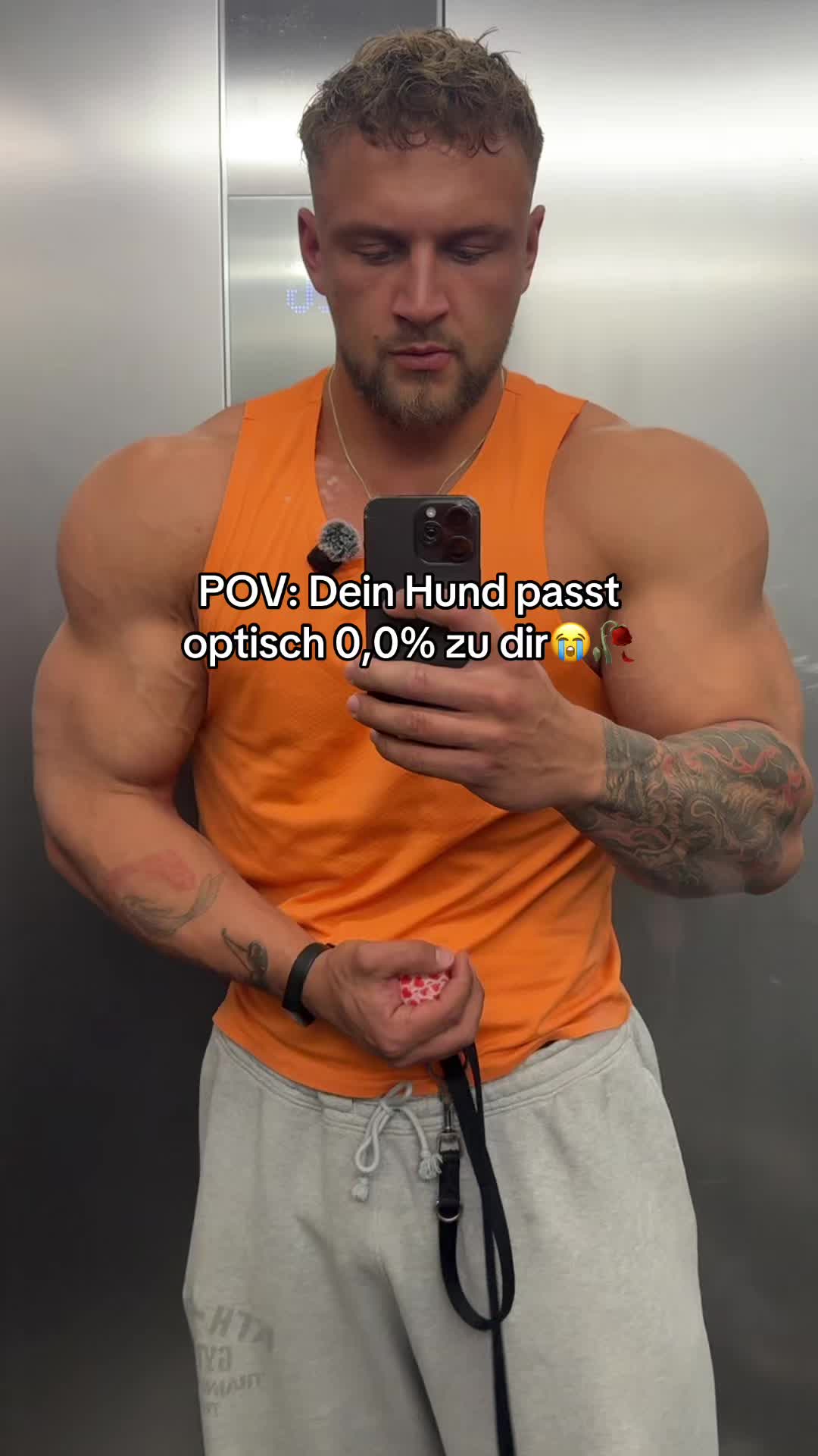 @Stoffwig