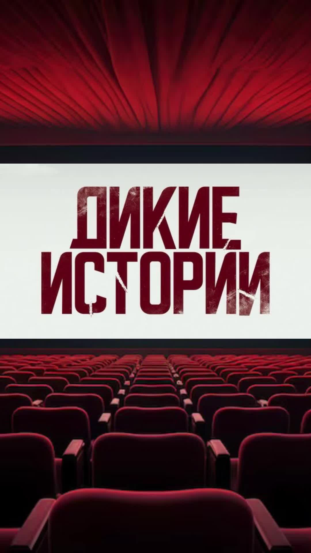 @kino_com